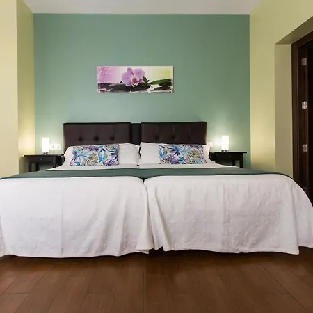 Amelia Guest house