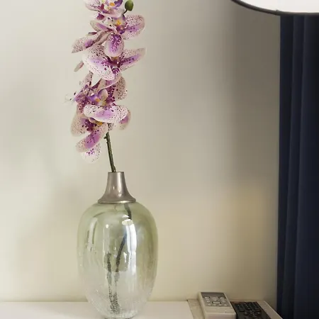 Amelia Guest house 3*