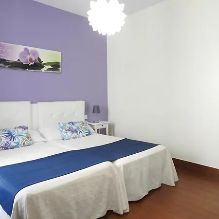 Guest house Amelia 3*