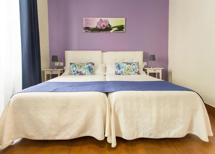 Amelia Πανσιόν Αλικάντε