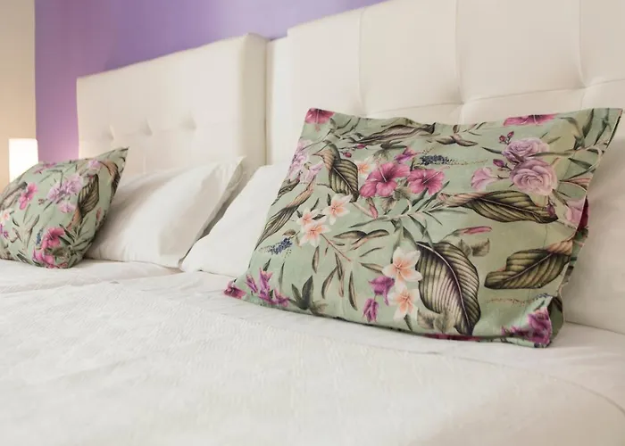 Amelia Πανσιόν Αλικάντε