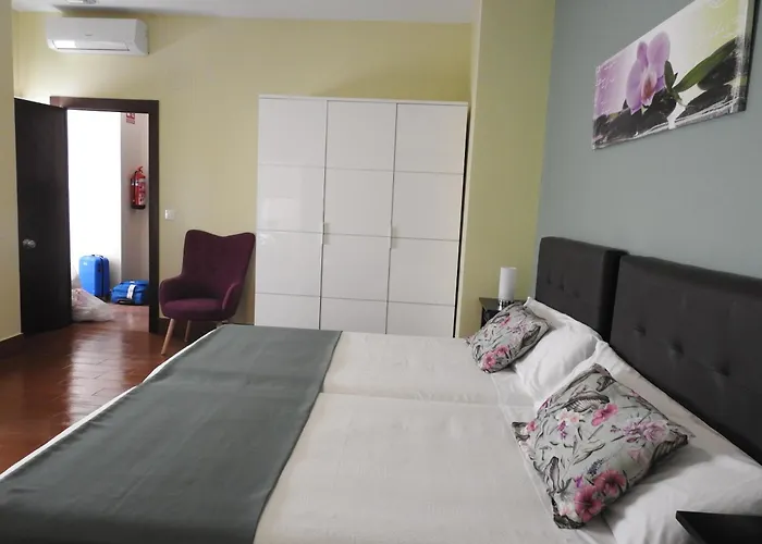 Amelia Πανσιόν