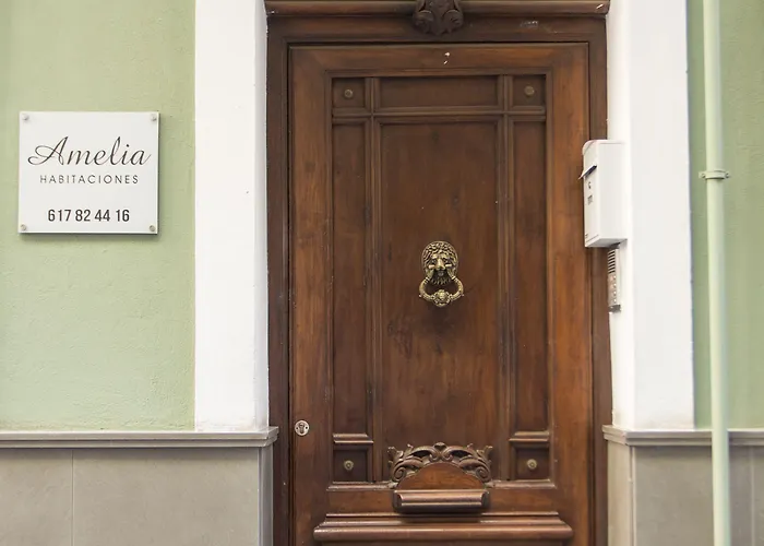 Amelia Πανσιόν